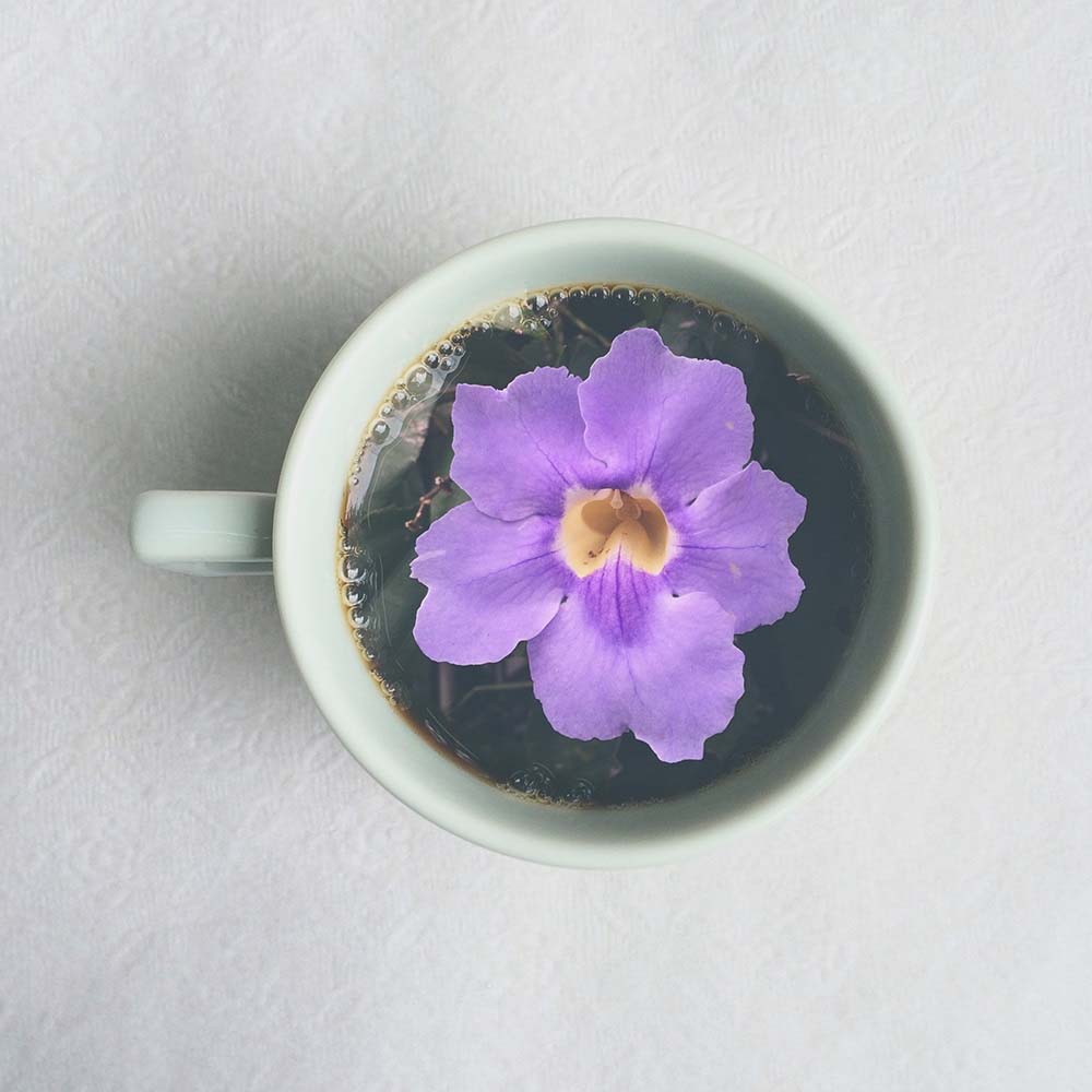 Foto de Nathalie Martins